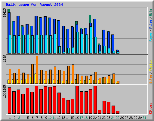 Daily usage for August 2024