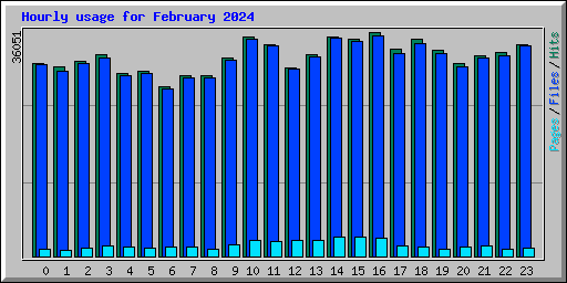 Hourly usage for February 2024
