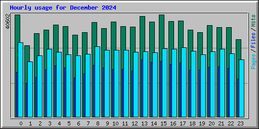 Hourly usage for December 2024